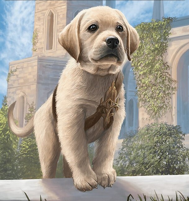 Background image for The Dog Commanders of Magic