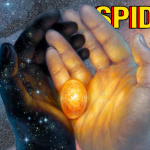 Spider-Man Artifacts and Lands