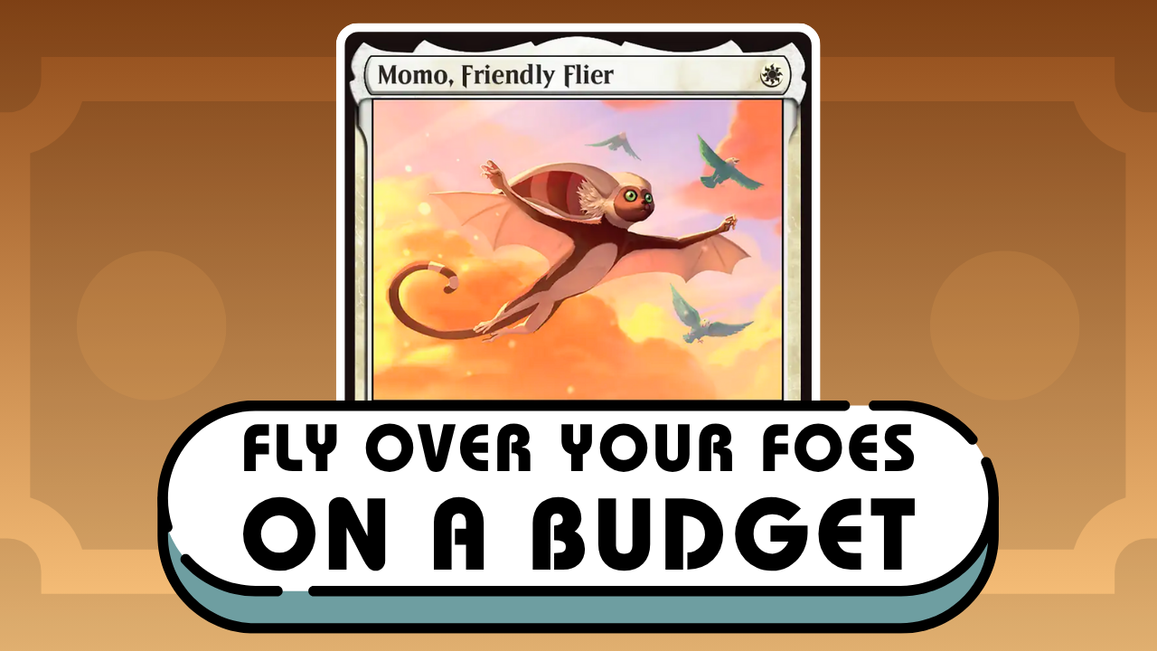 Building Momo, Friendly Flier on a Budget